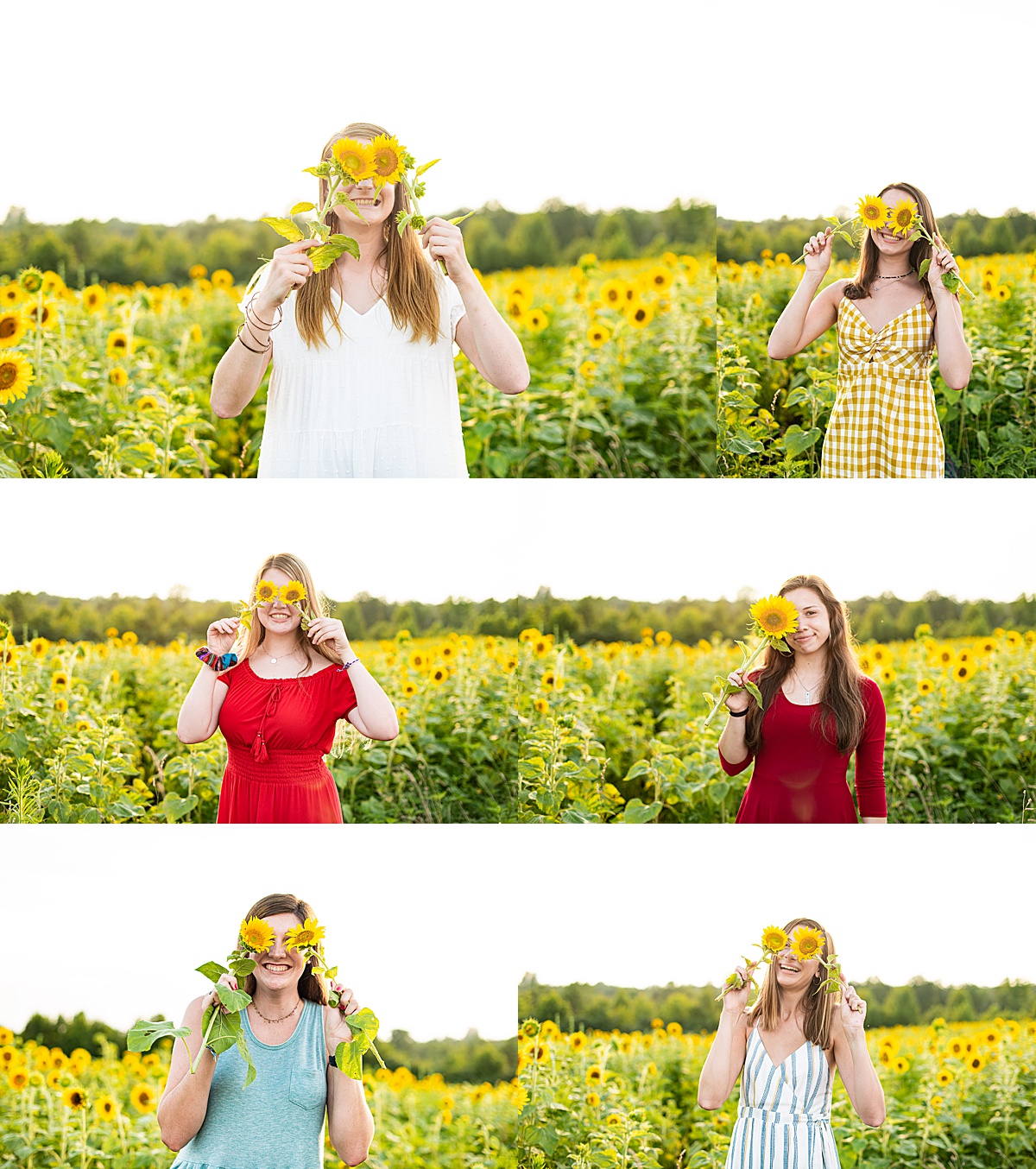 sunflowers, senior, laura matthews, glen allen, richmond, virginia, portraits